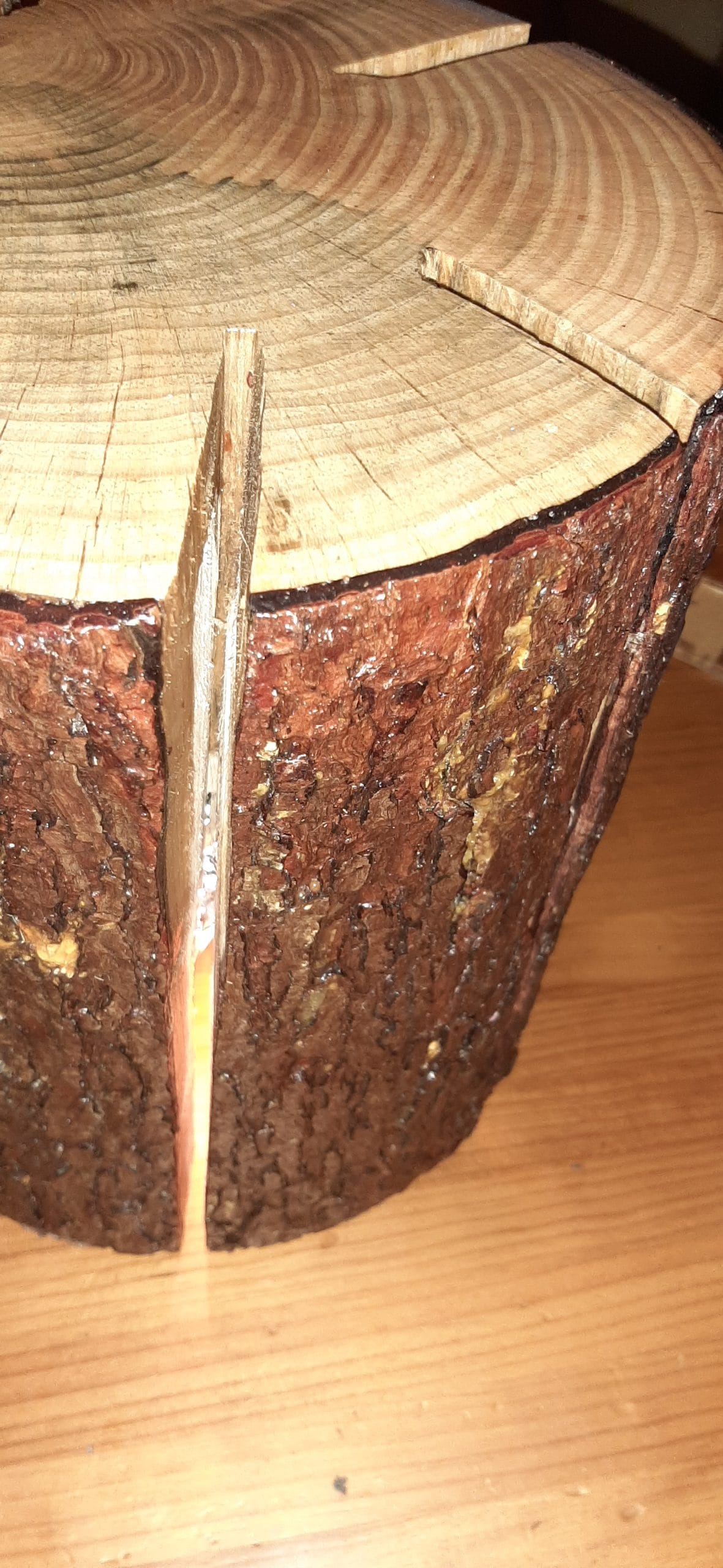 detalle lámpara tronco de madera